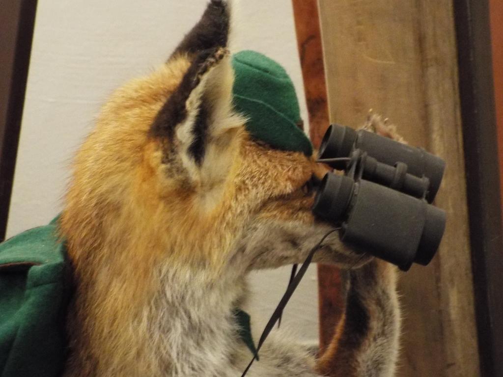 Hotel Isartaler Hof ヴォルフラーツハウゼン エクステリア 写真